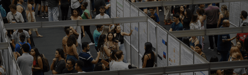 Programa de Estágios